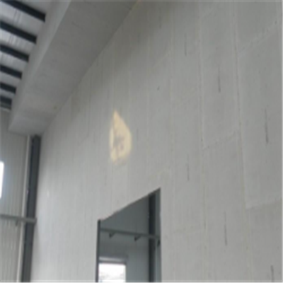 梁园宁波ALC板|EPS加气板隔墙与混凝土整浇联接的实验研讨